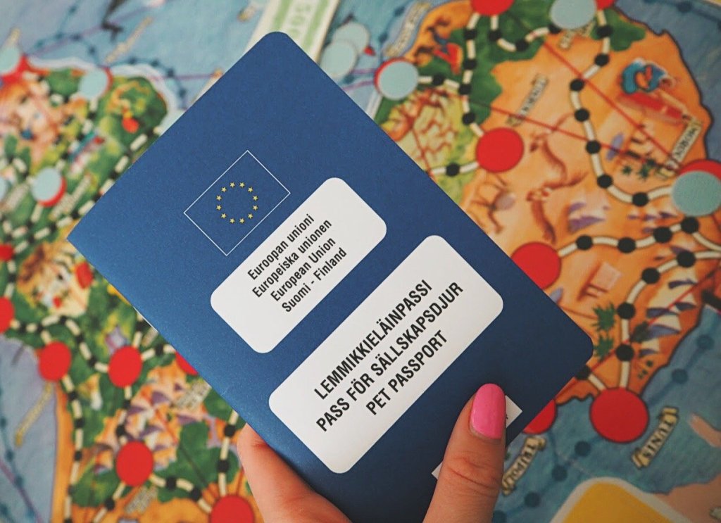 Matkalle koiran kanssa – lemmikkieläinpassin hankinta&nbsp;Savalle