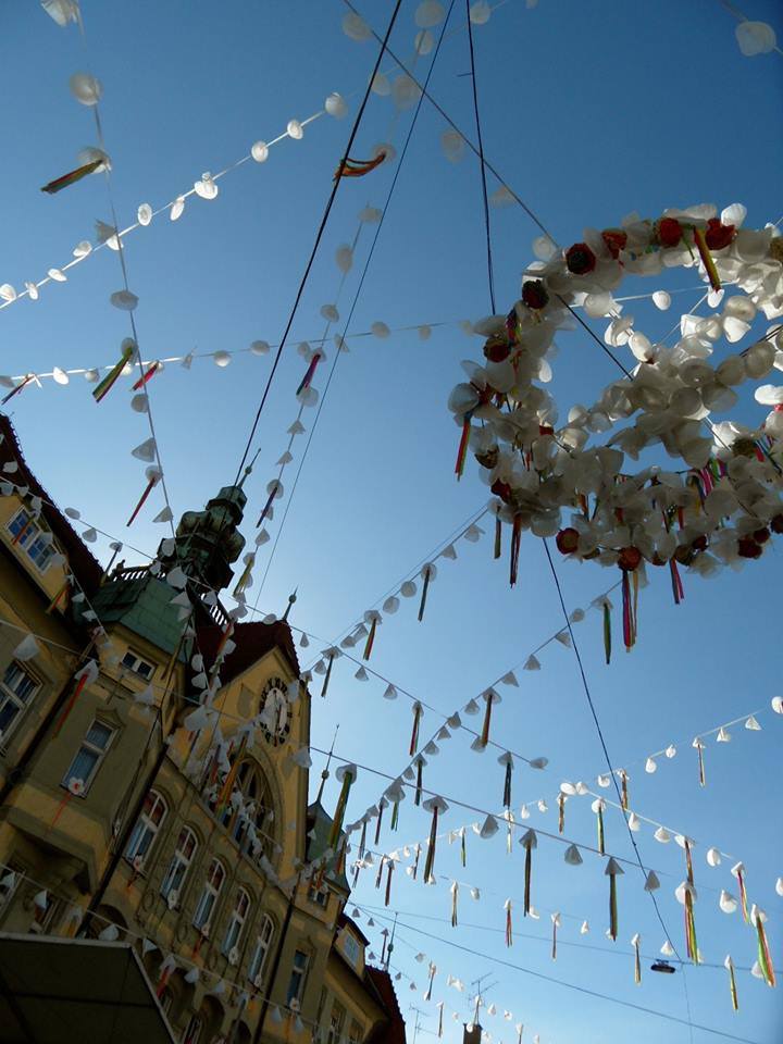 12674450_10207683277014031_577566443_n