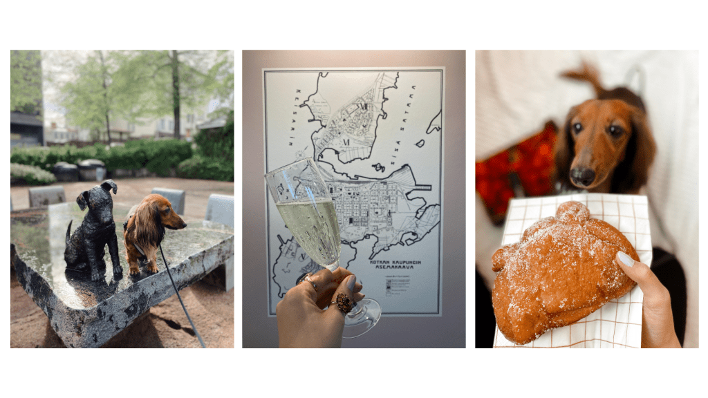 Koiraystävällinen Kotka – yli 20 vinkkiä Kotkan-matkalle koiran&nbsp;kanssa