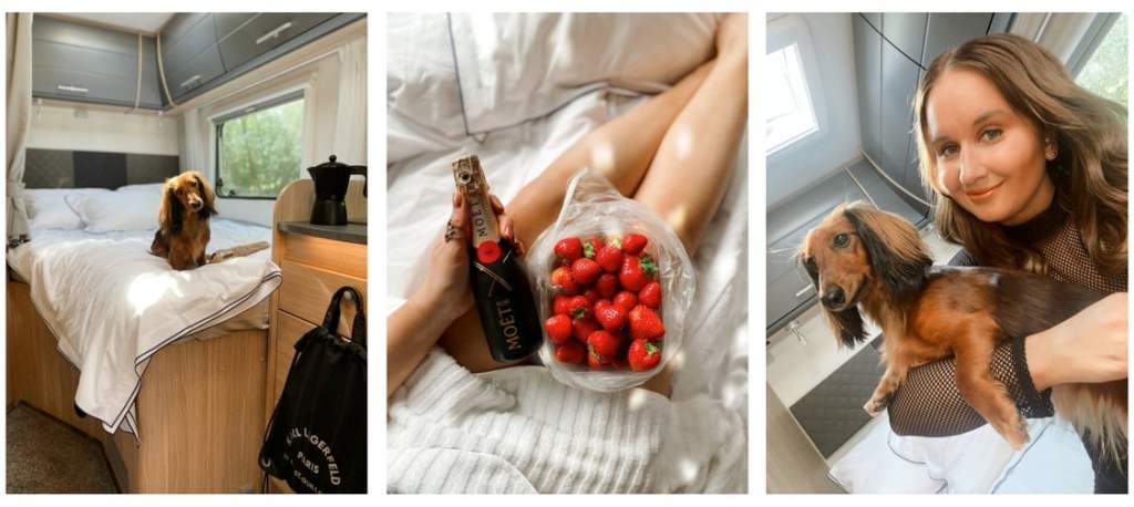 Koiran kanssa lomalle matkailuautolla – vinkit ensikertalaiselle