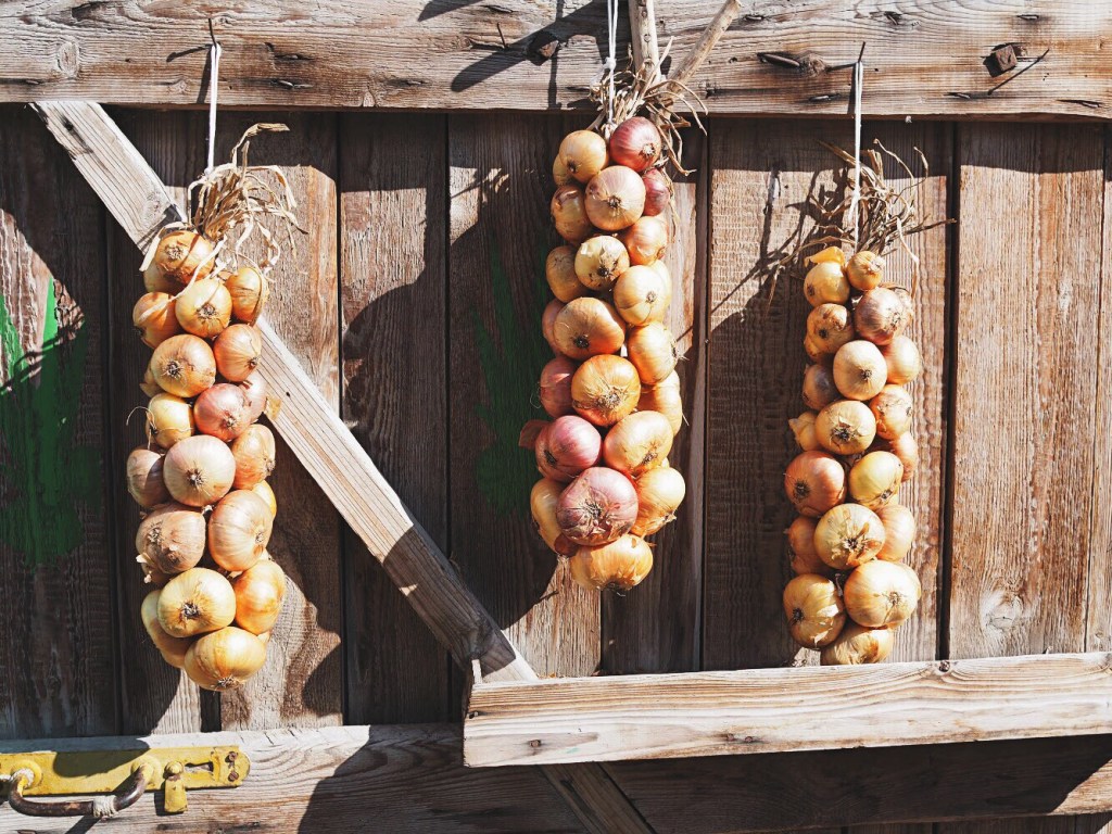 Peipsimaa – Viron autenttinen aarre kuiskii tarinoita&nbsp;menneestä
