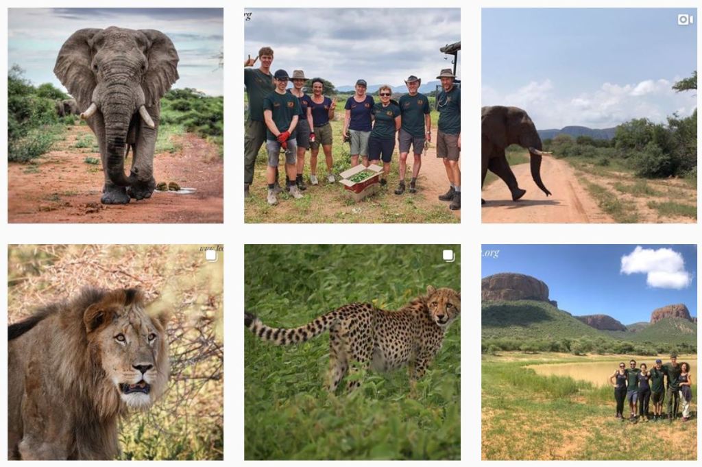 Vapaaehtoistyöhön Etelä-Afrikkaan – Ekomatkaajien&nbsp;Marakele